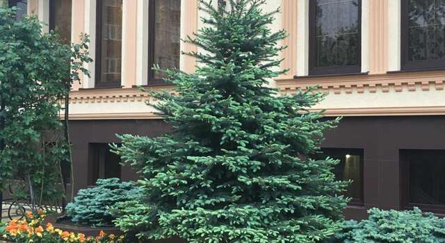 Гостиница Алые Паруса Анапа-20